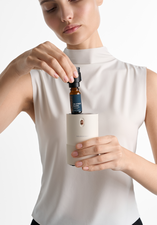 MicroMoments Diffuser