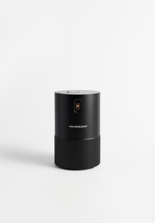 MicroMoments Diffuser