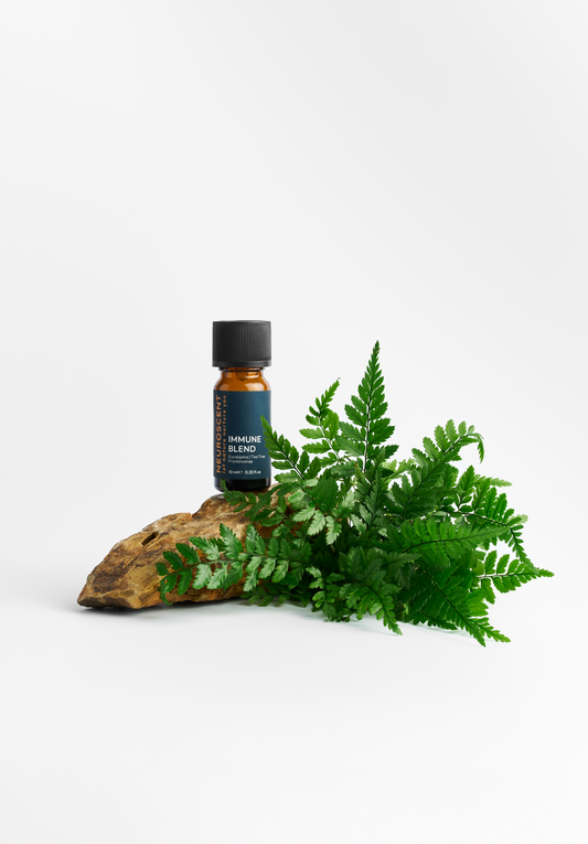 Immune Essential Oil Blend 10ml