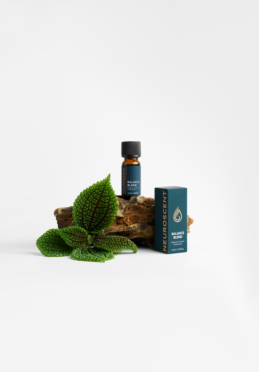 Balance Essential Oil Blend 10ml